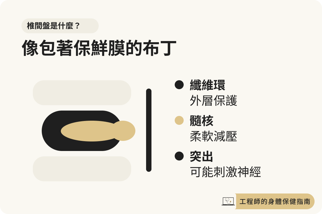 椎間盤像包著保鮮膜的布丁